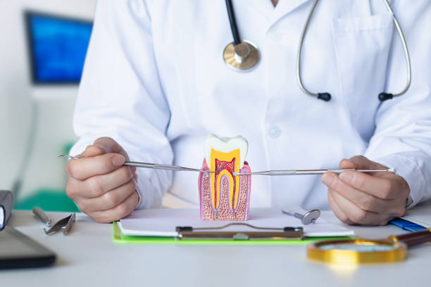 Best Emergency Treatment for Dental Infections or Abscesses in Quail Ridge, FL